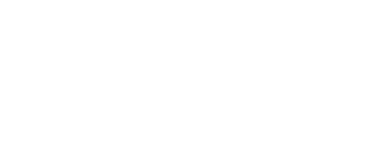 light logo